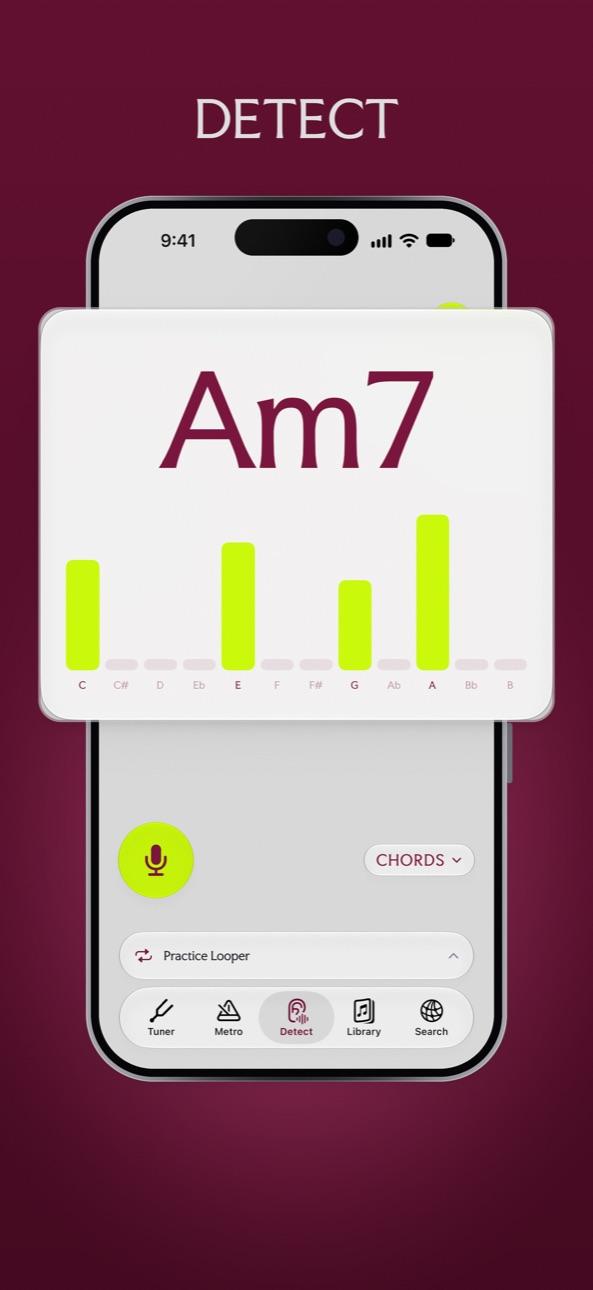 Pro Musician Toolkit chord detector